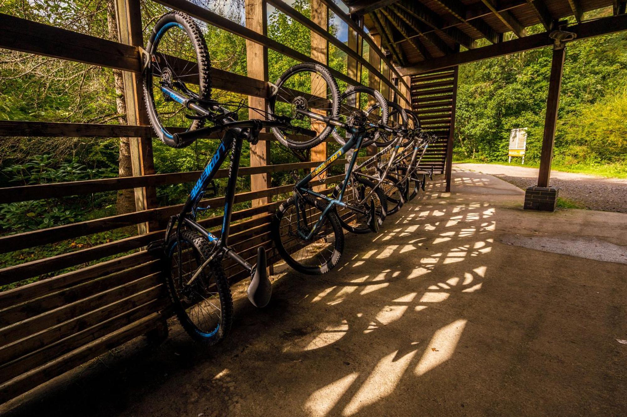 Afan Forest Retreat Cozy Getaway, Pet Friendly Cymmer Eksteriør billede