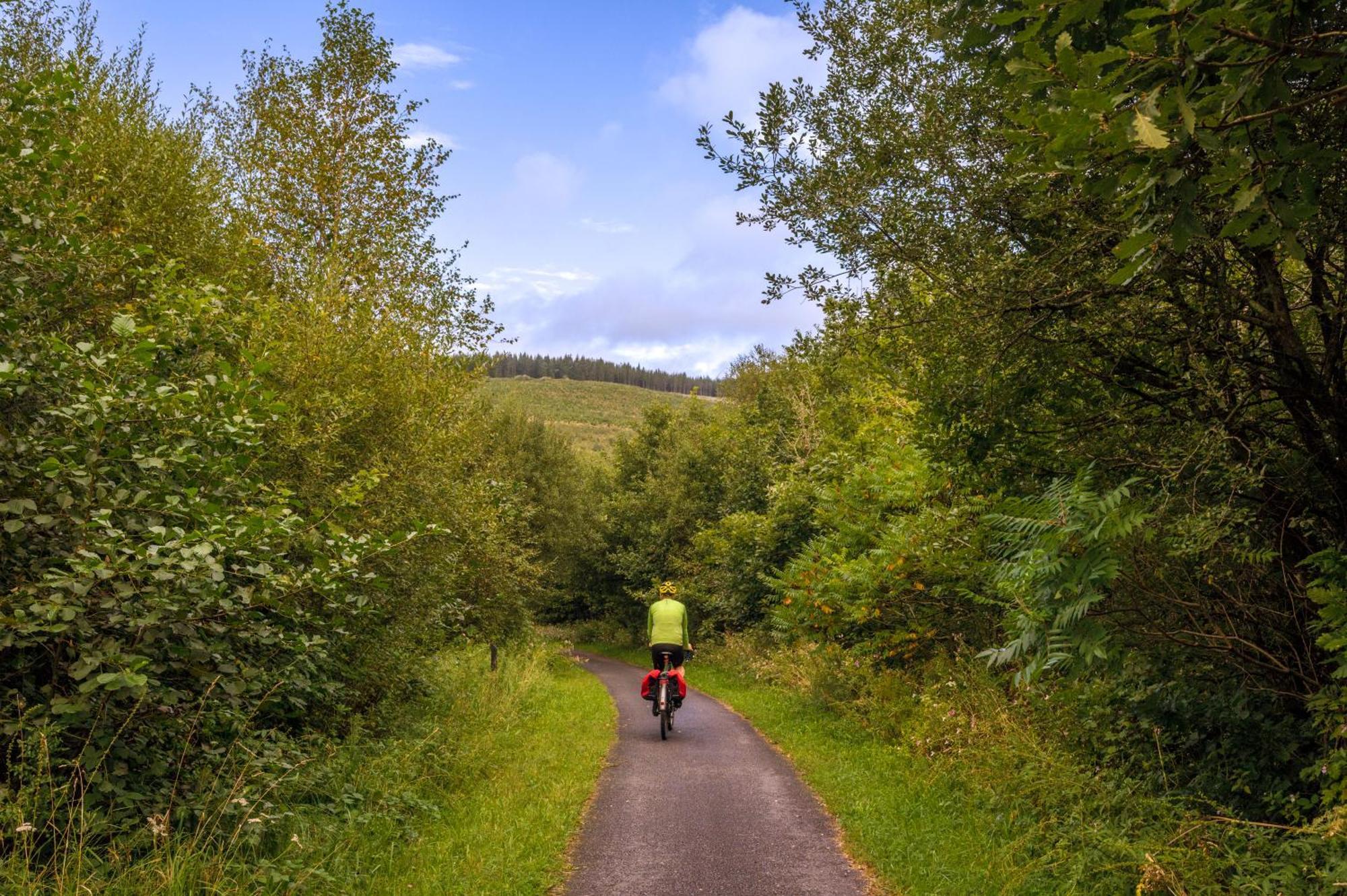 Afan Forest Retreat Cozy Getaway, Pet Friendly Cymmer Eksteriør billede